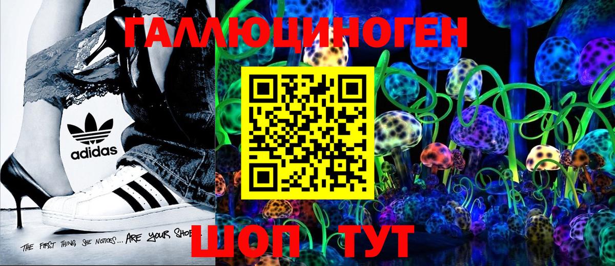купить   Псилоцибиновые грибы мицелий  Вход с VPN  Клинцы 